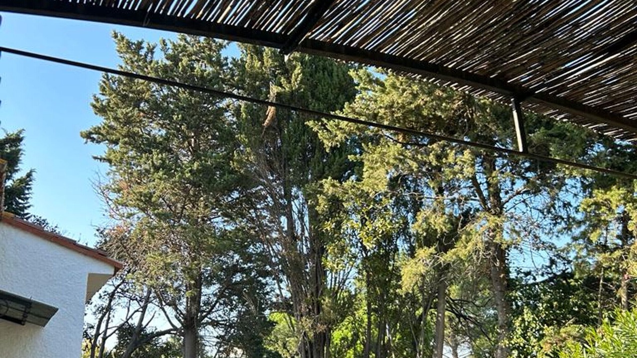 Photo of Outdoor in Elne