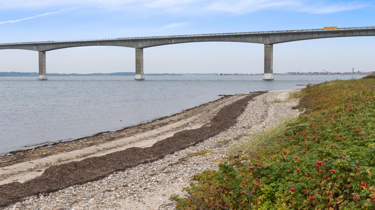 Photo of Others in Sallingsund