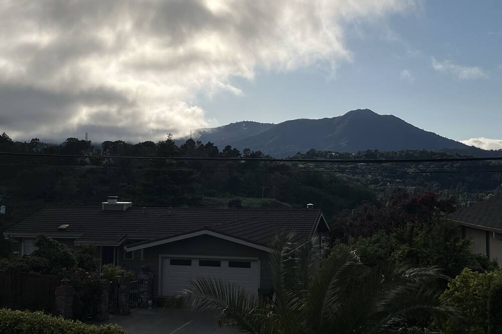 Photo of Others in Strawberry