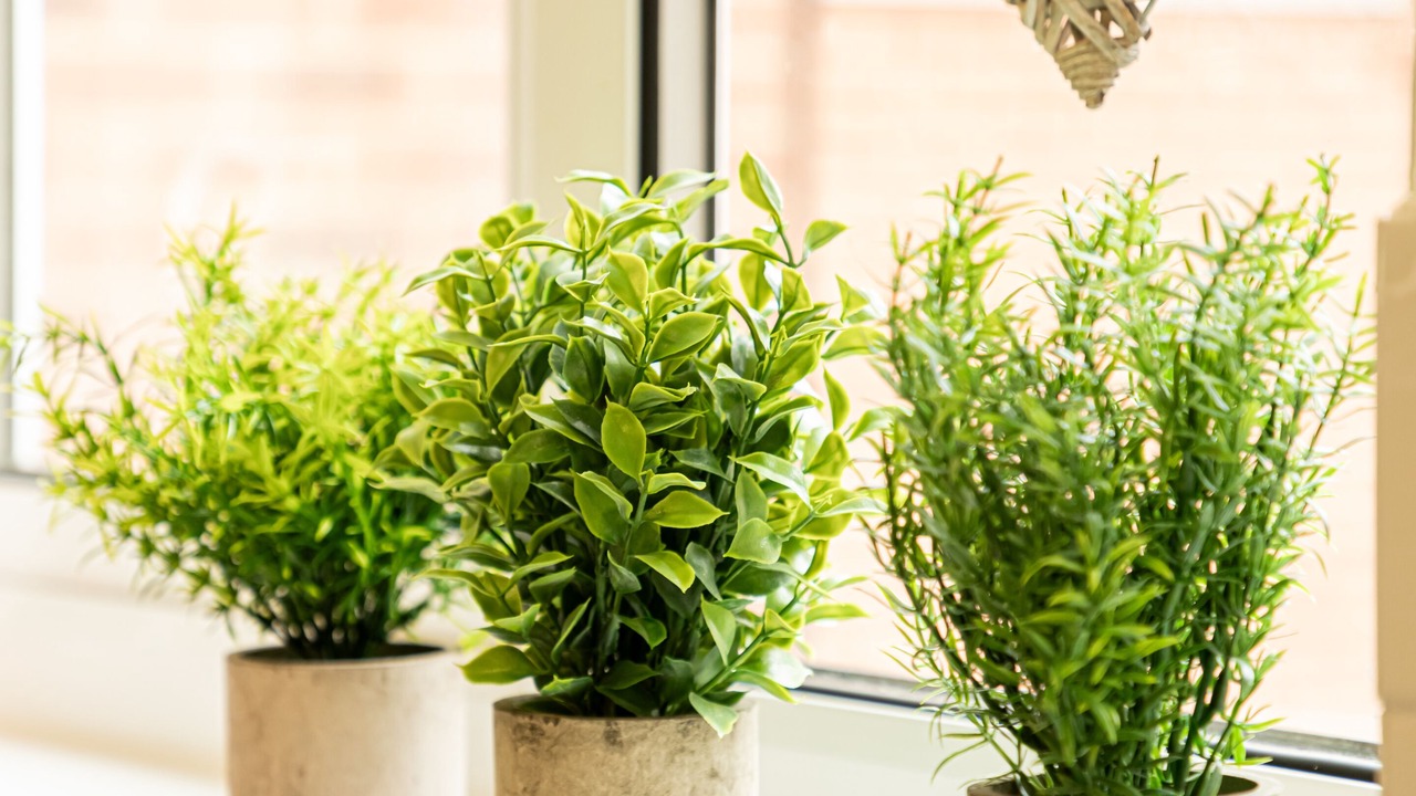 Photo of Others in Banbury