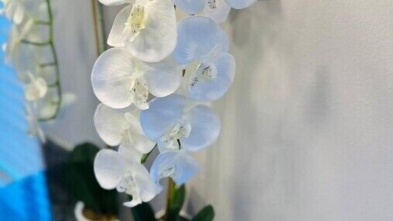 Photo of Others in Cherry Hill