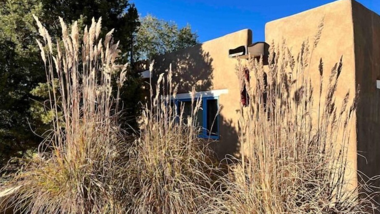 Photo of Outdoor in Taos