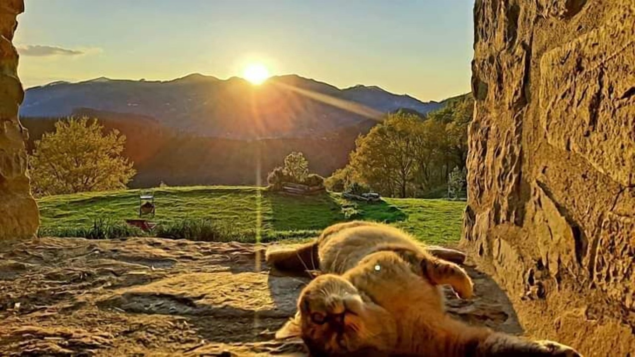 Photo of Outdoor in Elgoibar