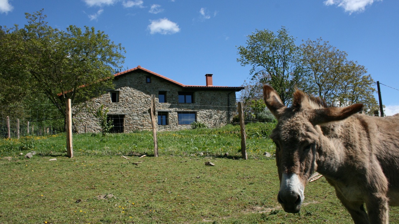 Photo of Outdoor in Elgoibar