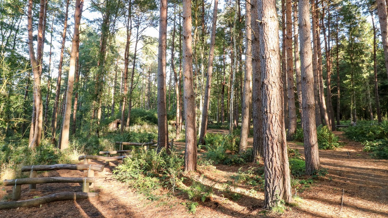 Photo of Others in Ticknall