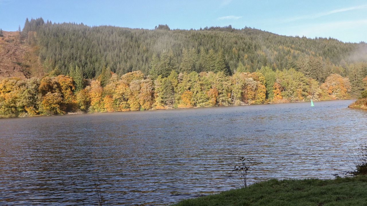 Photo of Others in South Laggan