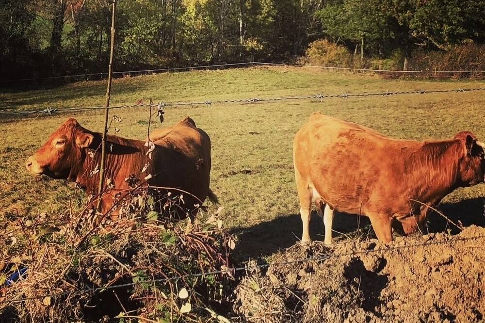 Photo of Outdoor in Beauzac