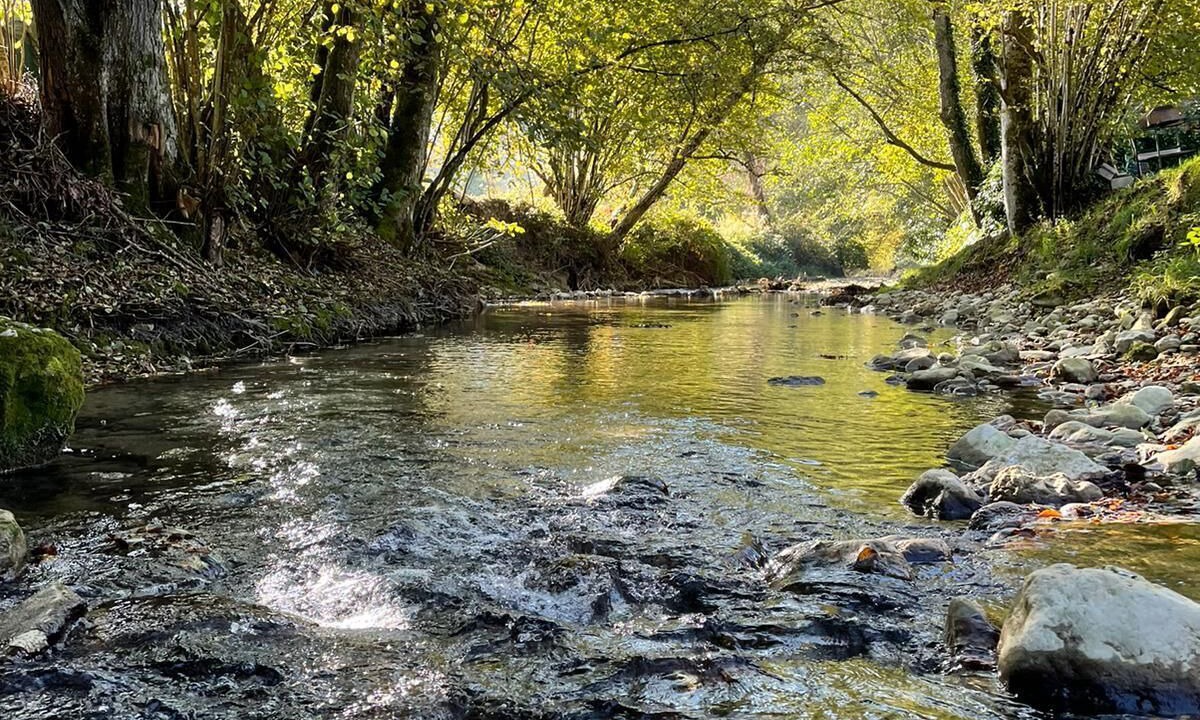 Photo of Outdoor in Saint-Franc