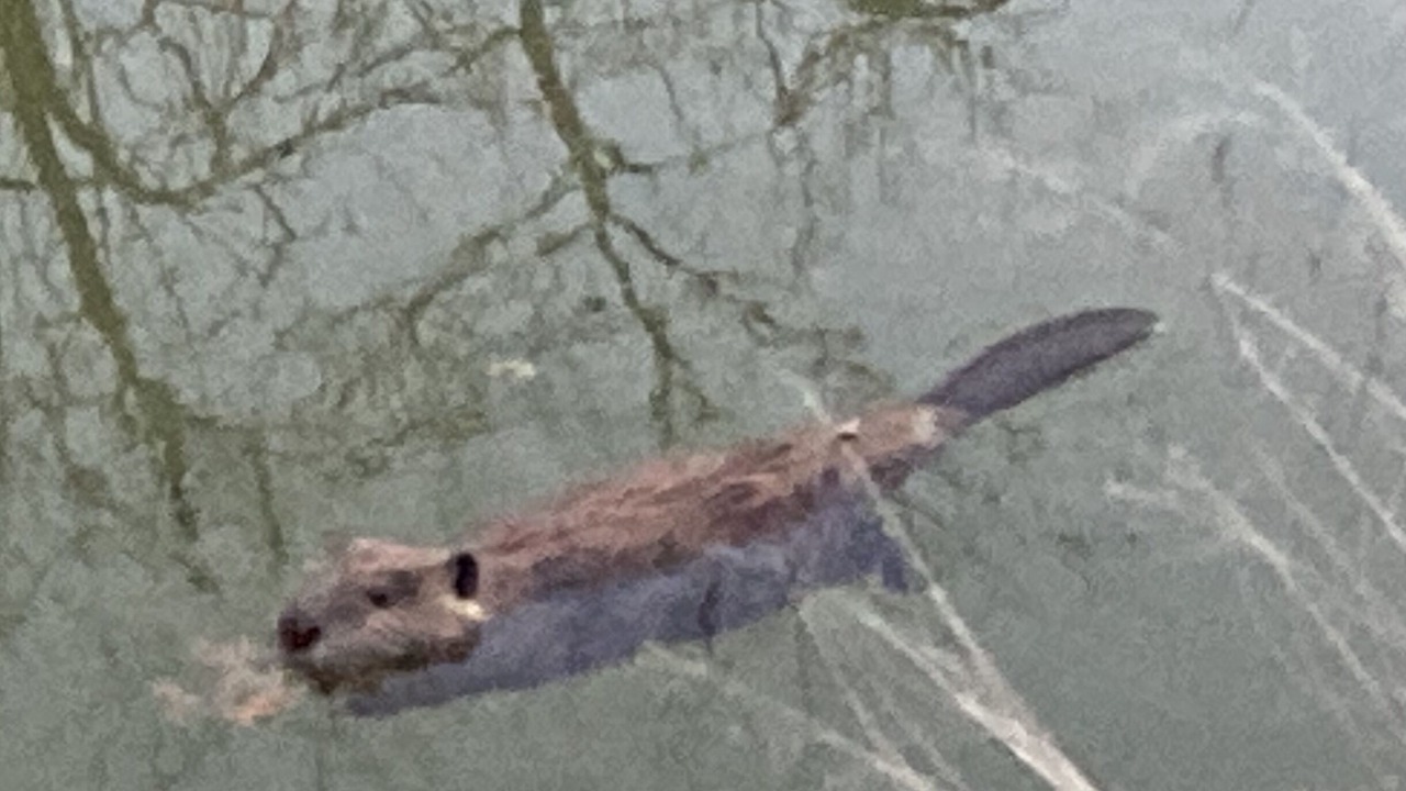 Photo of Others in Lometa