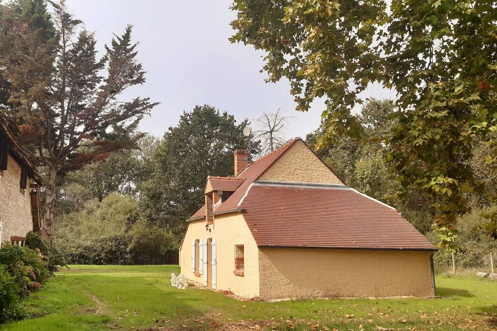 Photo of Outdoor in Ligny-le-Ribault