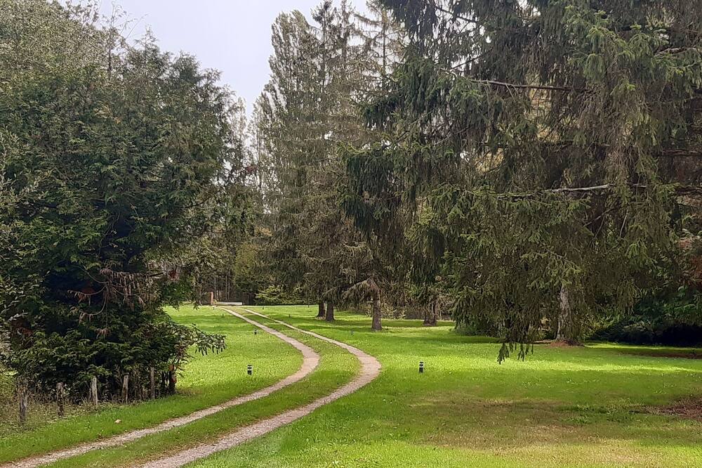 Photo of Outdoor in Ligny-le-Ribault