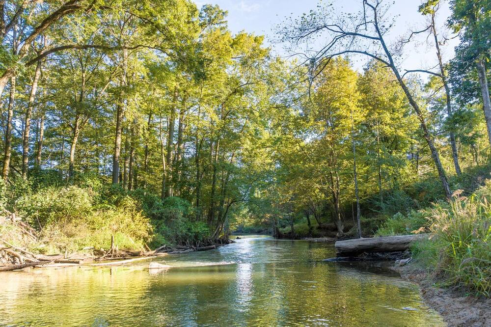 Photo of Others in Broken Bow