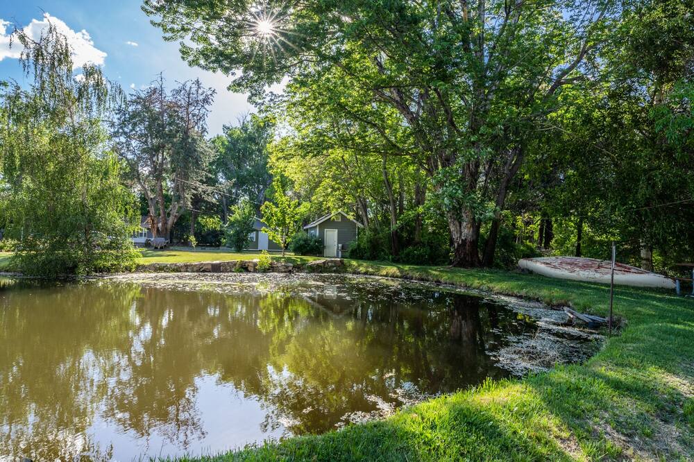 Photo of Outdoor in West Bishop