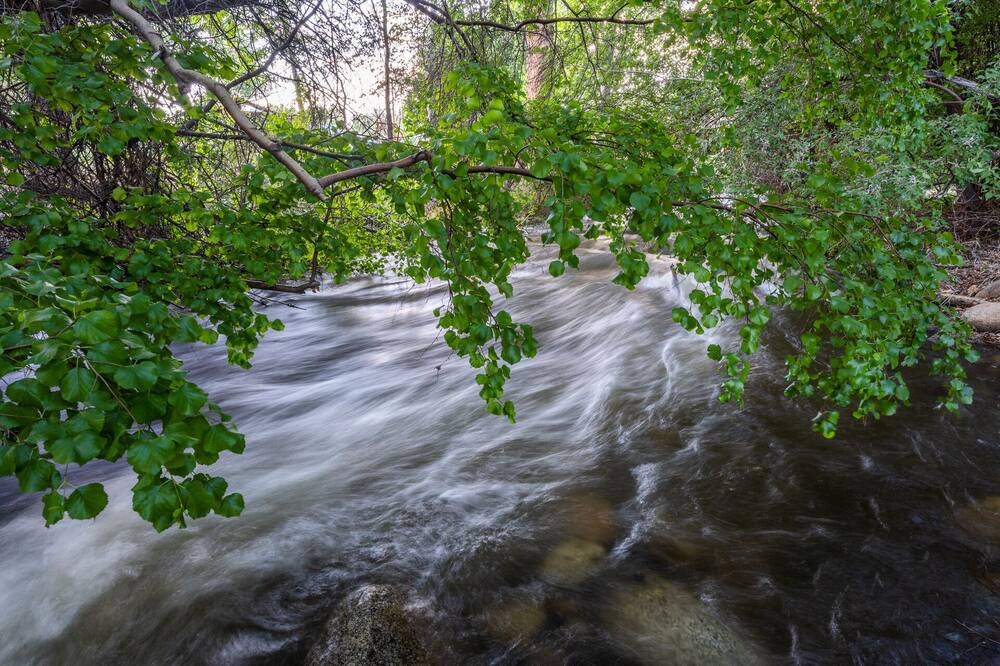 Photo of Outdoor in West Bishop