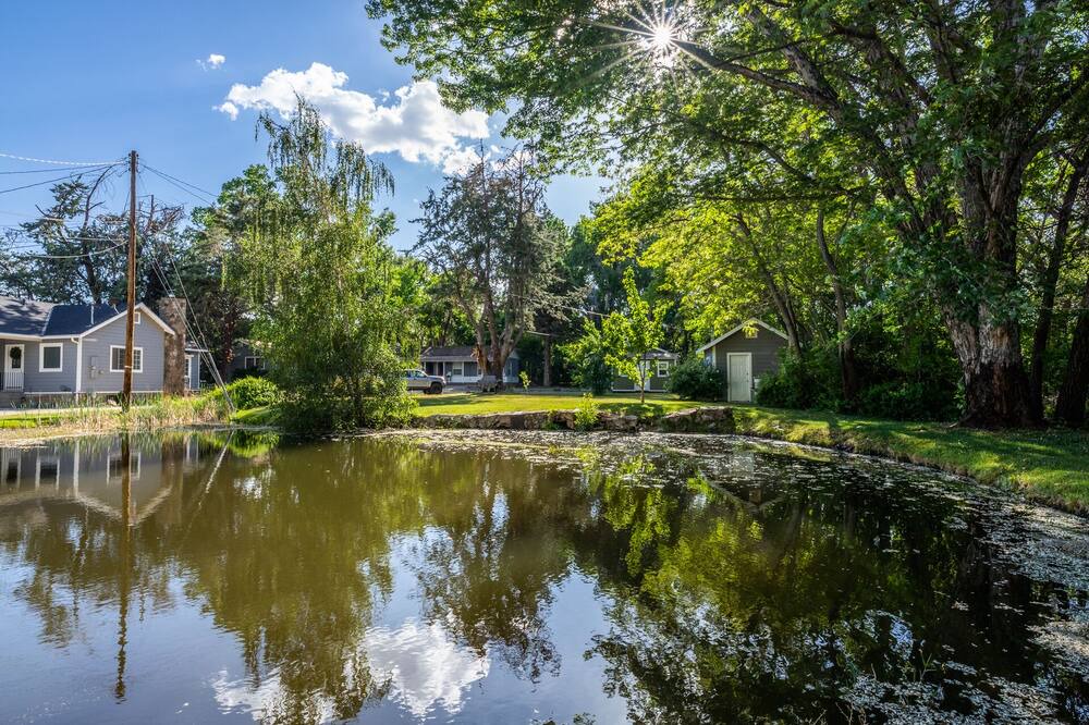Photo of Outdoor in West Bishop