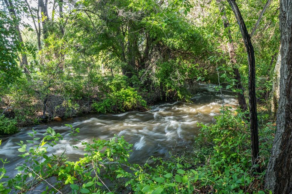Photo of Outdoor in West Bishop
