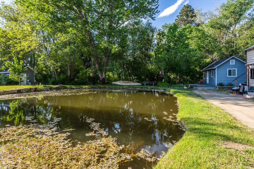Photo of Outdoor in West Bishop