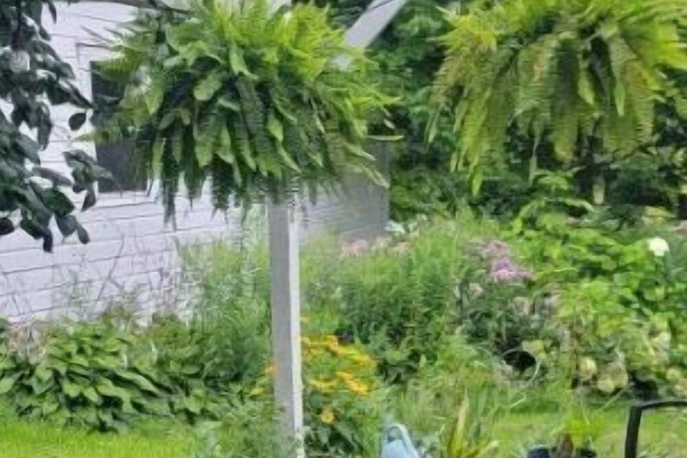 Photo of Outdoor in Colton