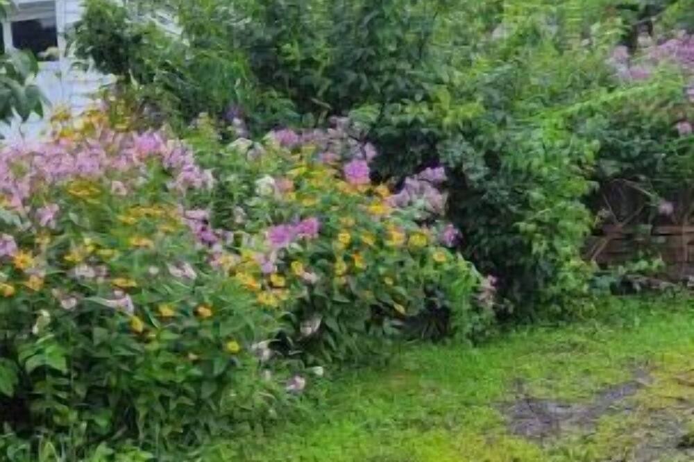 Photo of Others in Colton