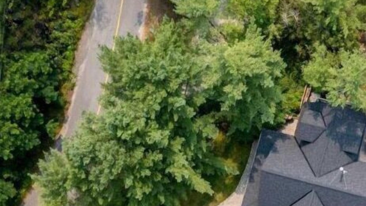 Photo of Outdoor in Parry Sound