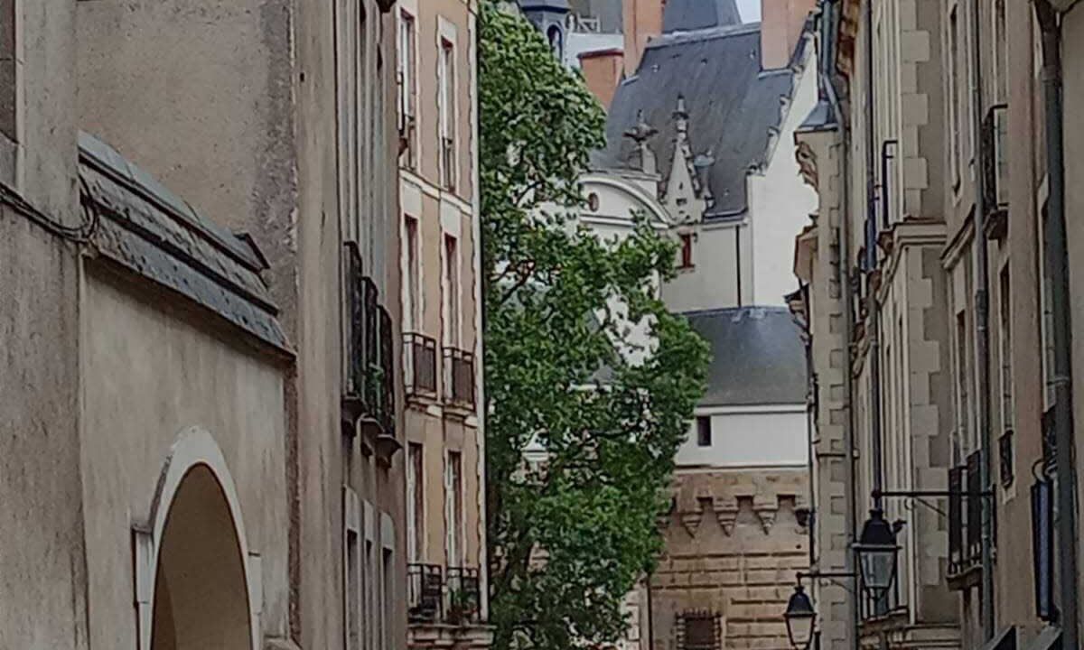 Photo of Others in Decre-Cathedrale