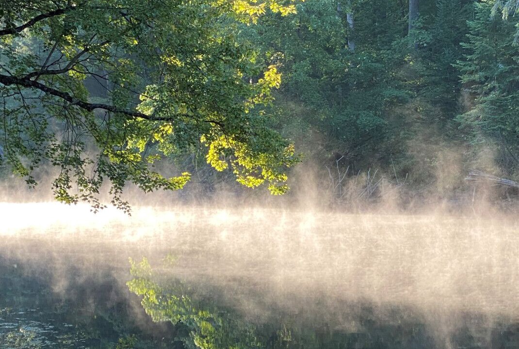 Photo of Others in Huntsville