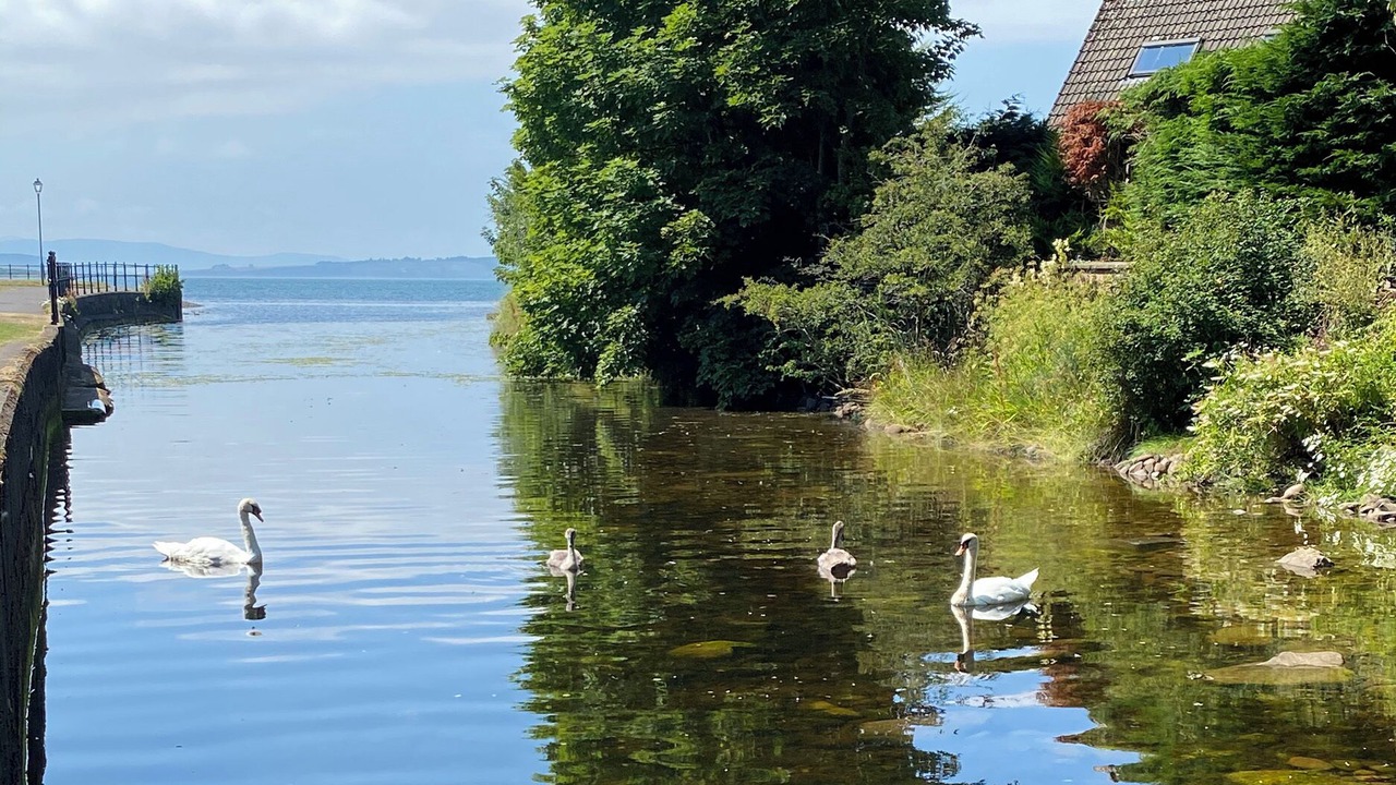 Photo of Others in Largs