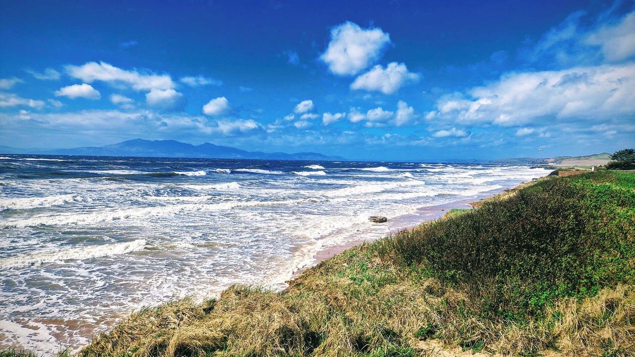 Photo of Others in Largs