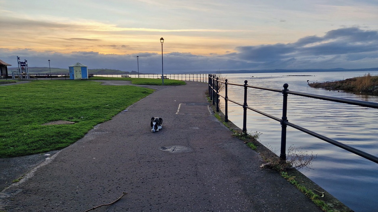 Photo of Others in Largs