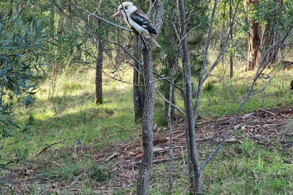 Photo of Others in Smythesdale