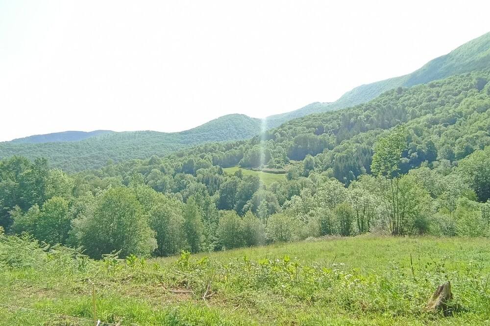 Photo of Outdoor in Fougaron