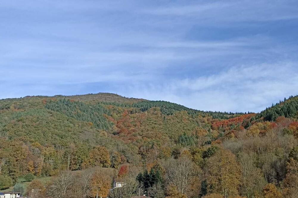 Photo of Outdoor in Fougaron