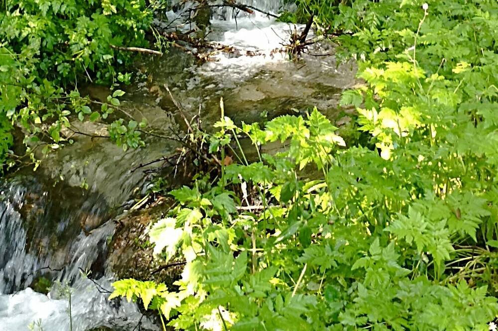 Photo of Outdoor in Fougaron