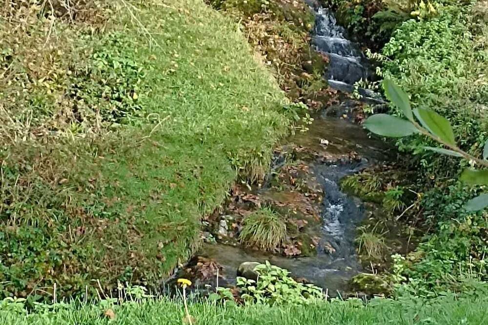Photo of Outdoor in Fougaron