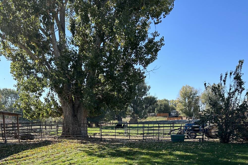 Photo of Outdoor in Owyhee County