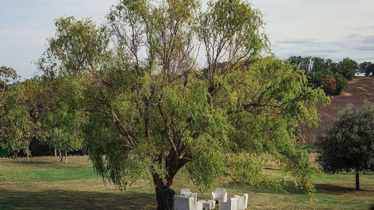 Photo of Outdoor in Moncassin