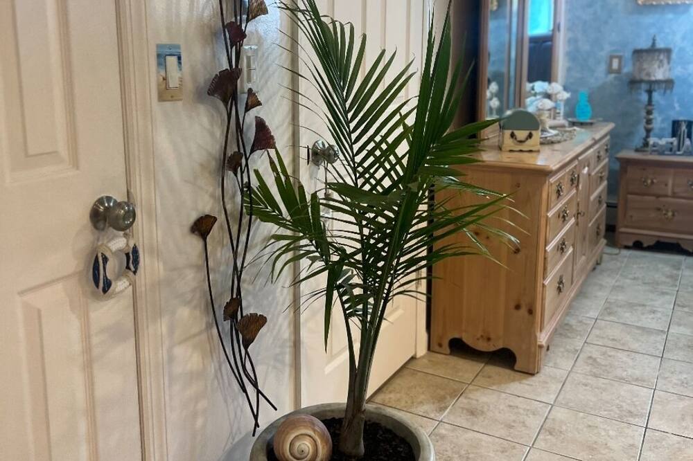 Photo of Others in Highlands