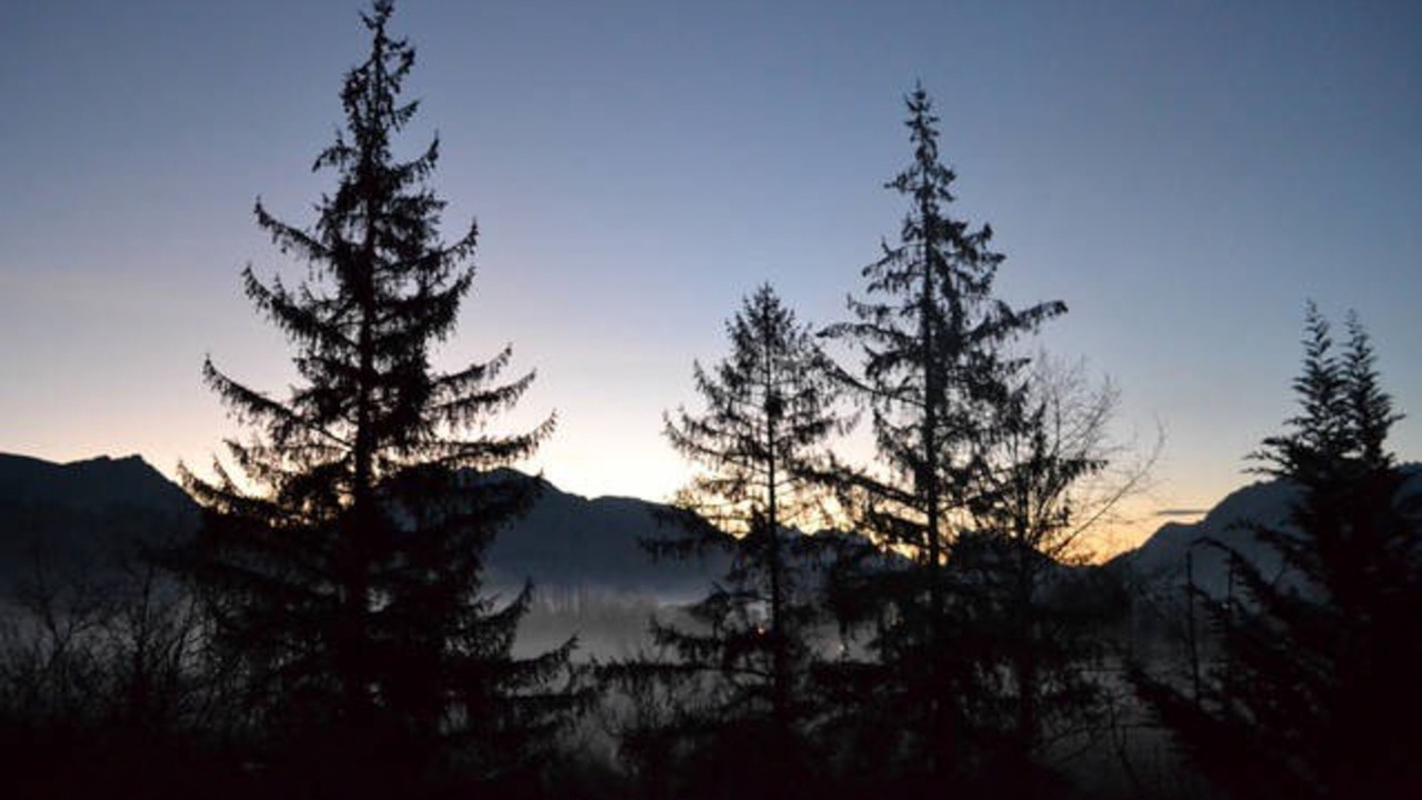 Photo of Others in Startup