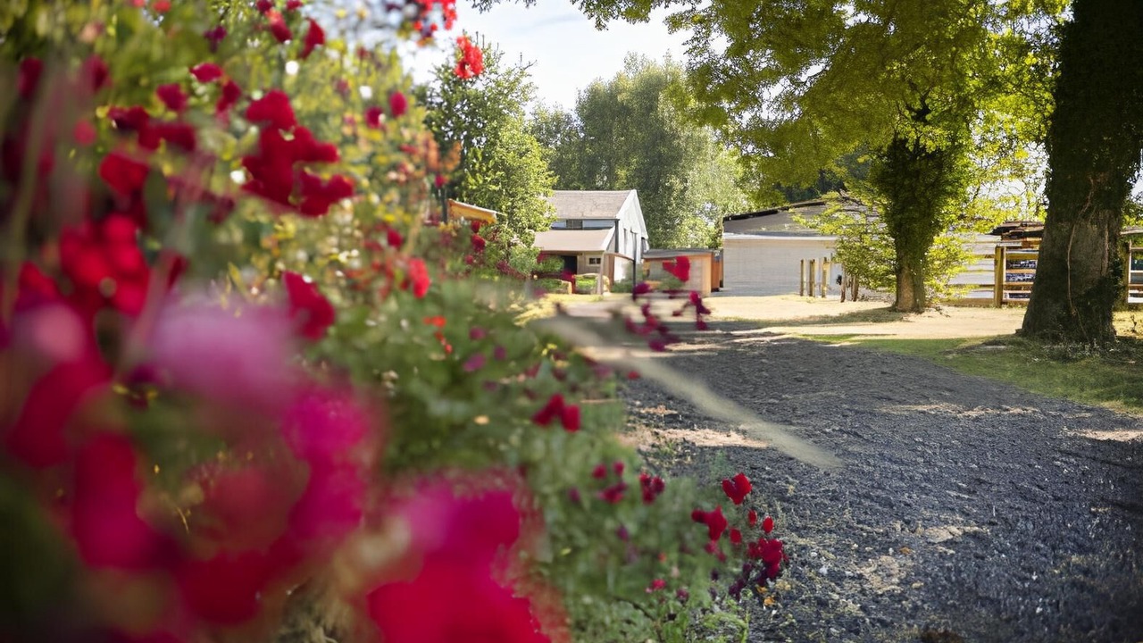 Photo of Outdoor in Conty