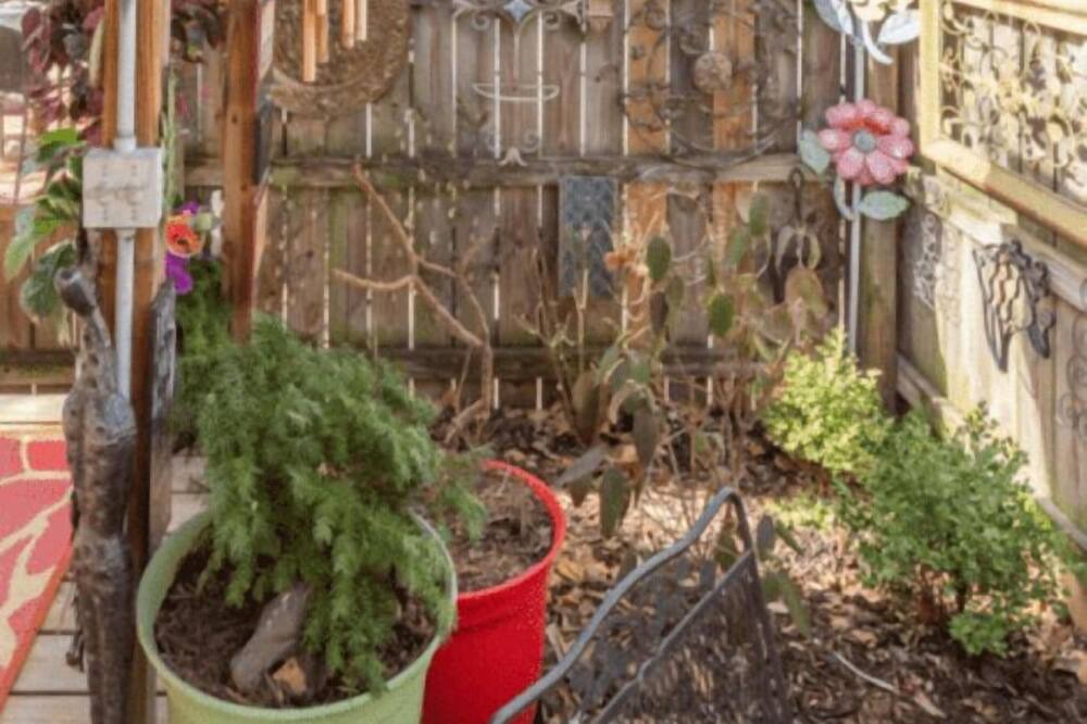 Photo of Outdoor in Northampton