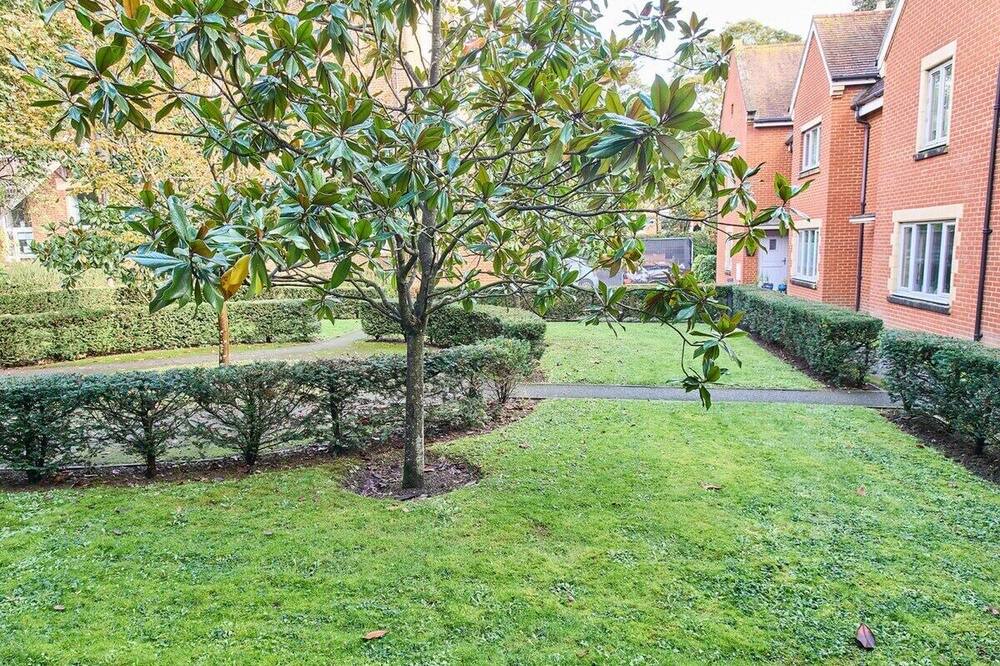 Photo of Others in Canterbury