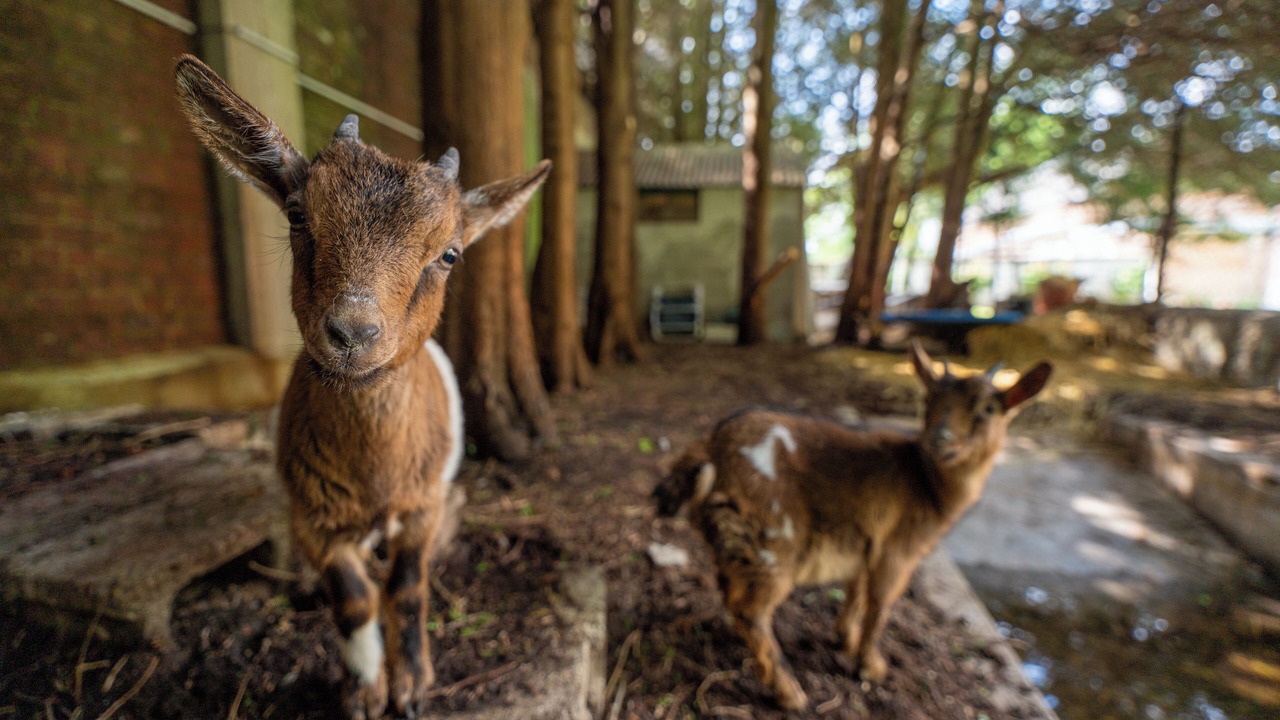 Photo of Outdoor in Bethencourt-sur-Mer