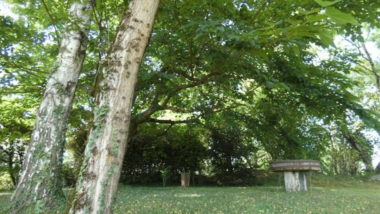 Photo of Outdoor in Bartres