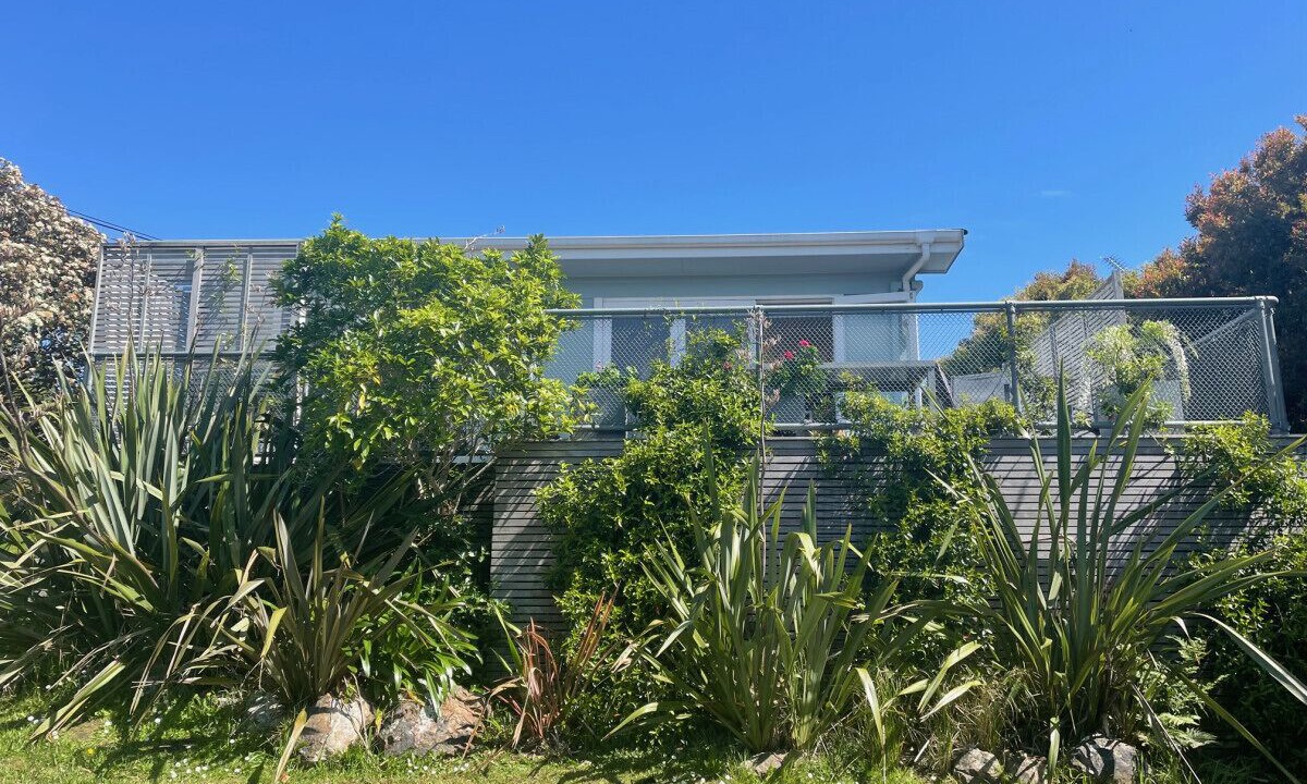 Photo of Outdoor in Oneroa