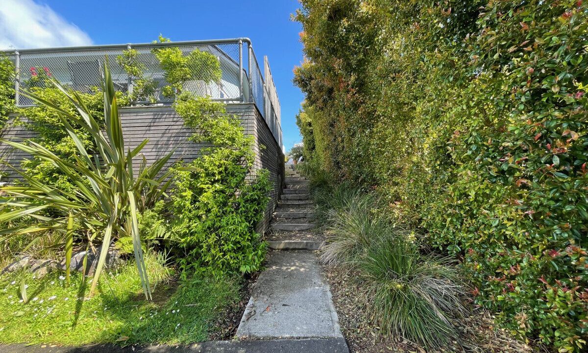 Photo of Outdoor in Oneroa