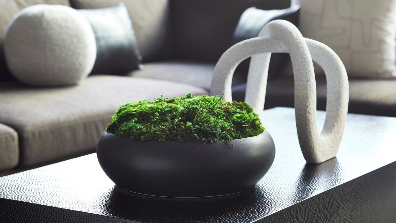 Photo of Others in Downtown Sacramento