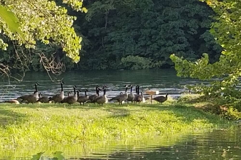 Photo of Others in Lakeview