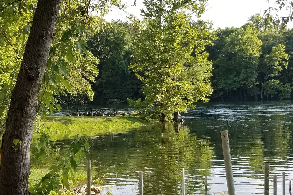 Photo of Others in Lakeview