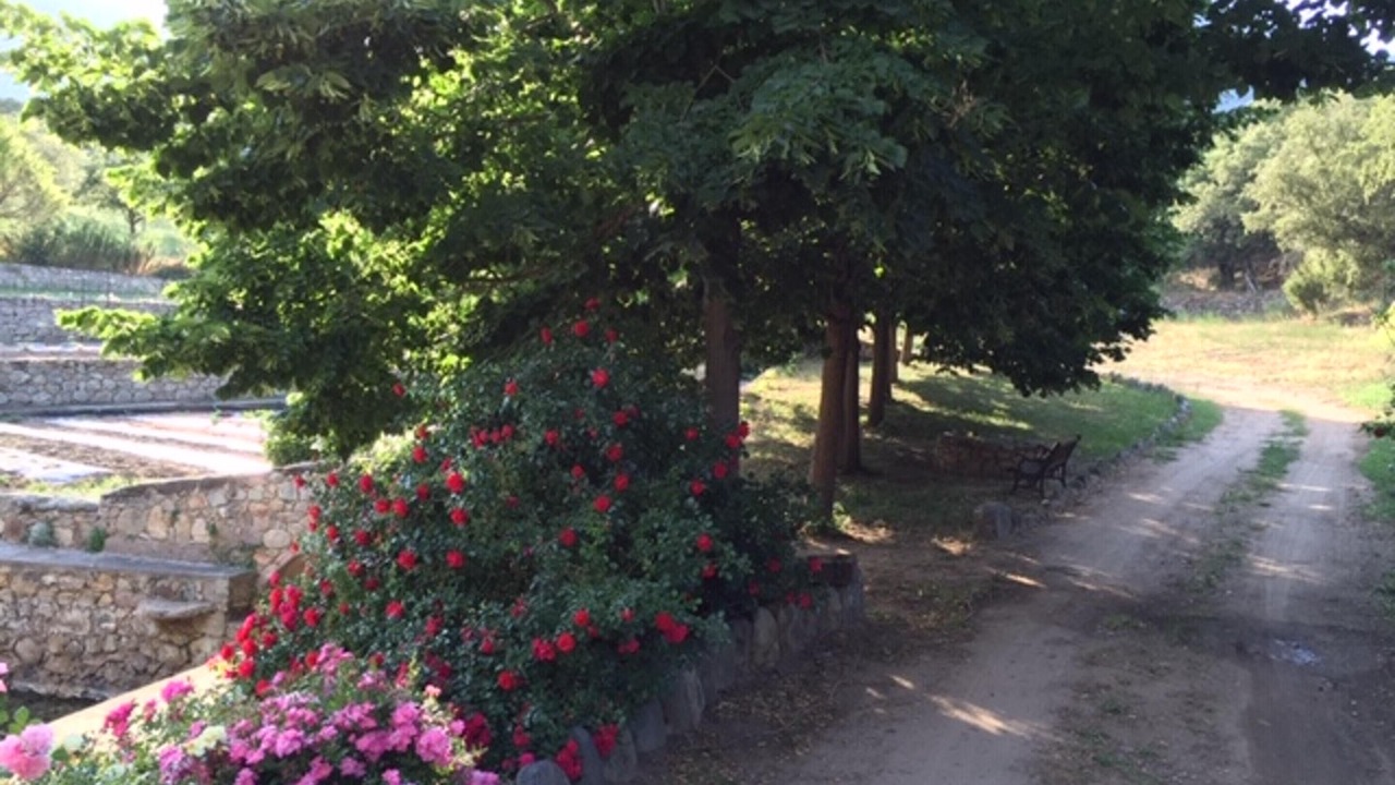 Photo of Outdoor in Moltifao