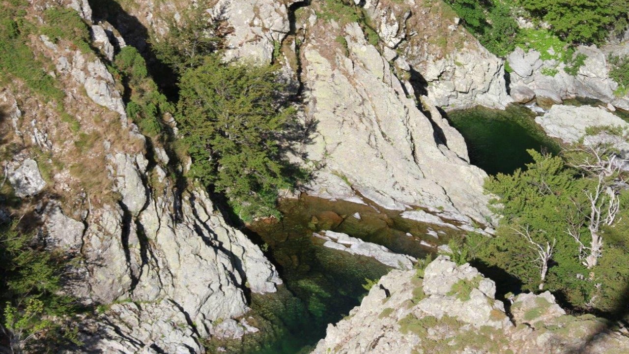 Photo of Others in Moltifao